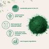 Micro Ingredients Organic Kelp Powder Supplement