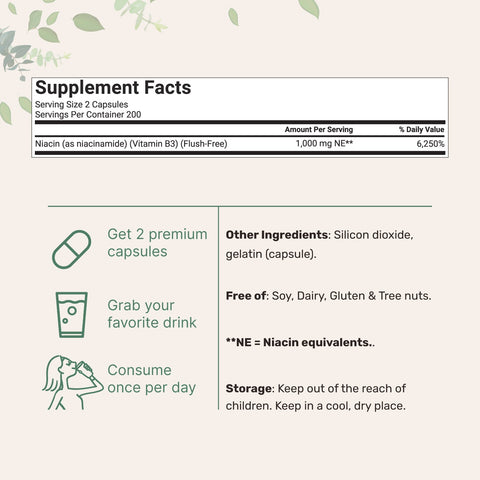 Micro Ingredients Vitamin B3 Niacinamide, 400 Capsules