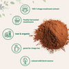 Micro Ingredients Organic Chaga Mushroom Extract 100:1 Powder, 10 Ounce