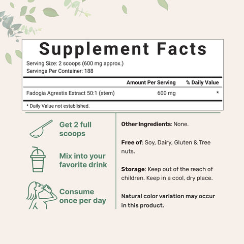 Micro Ingredients Fadogia Agrestis 50:1 Stem Extract Powder, 4oz