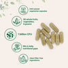 Micro Ingredients Fruits + Veggies and Probiotics, 240 Vegetarian Capsules