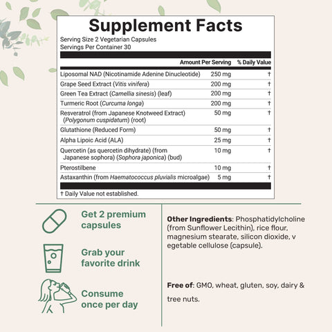 Micro Ingredients Liposomal NAD+ Ultimate 1,000mg, 60 Veggie Capsules