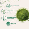 Micro Ingredients Organic Spinach Powder, 1lb