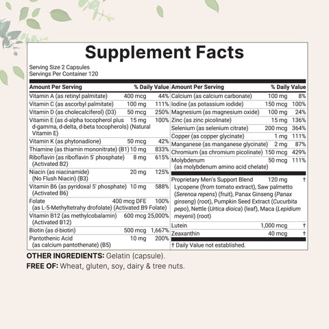 Micro Ingredient Pure Methylated Multivitamin for Men, 240 Capsules
