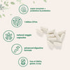 Micro Ingredients Super Enzymes + Prebiotics & 1 Billion CFU Probiotics, 240 Veggie Capsules