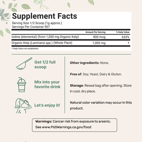 Micro Ingredients Organic Kelp Powder Supplement