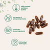 Micro Ingredients Organic Sunflower Lecithin Powder / Softgels